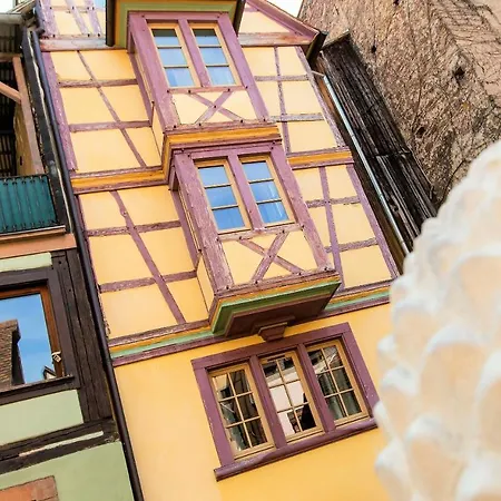 My Sweet Homes - Le 15 アパート コルマール