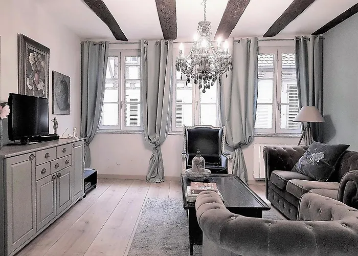 My Sweet Homes - Le 15 Кольмар